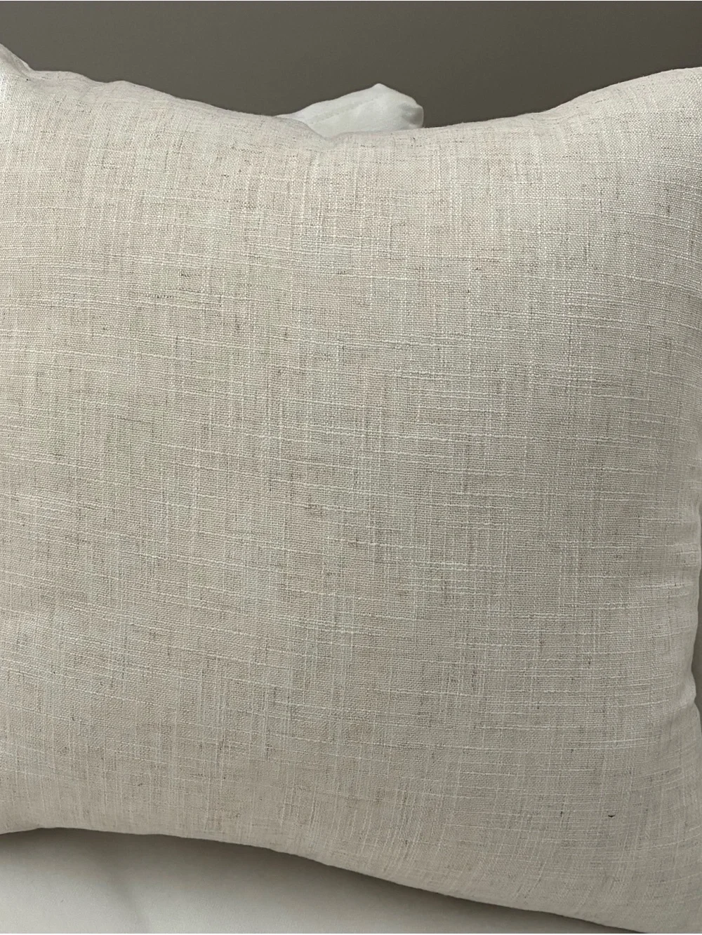 Custom Throw Pillow Covers with Zippers, 22” Square Set of 2, NWOT